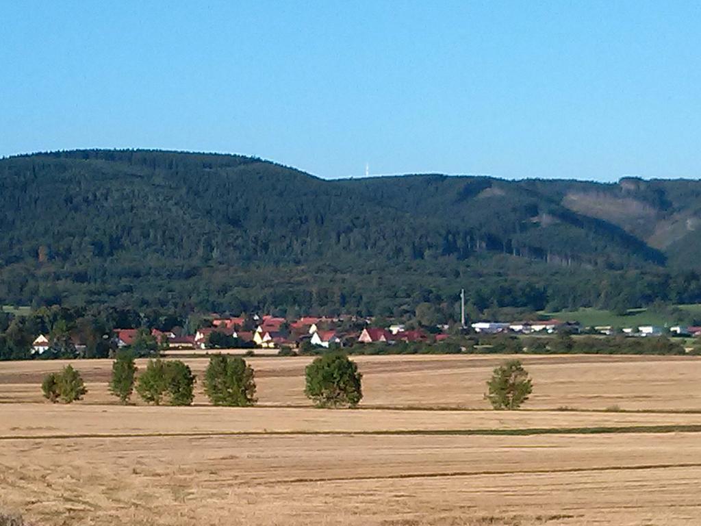 Ferienwohnung Osterbrink Ilsenburg Exterior foto